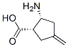 Cyclopentanecarboxylic acid, 2-amino-4-methylene-, (1S,2R)- (9CI)
