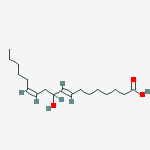 (8e,12z)-10-hydroxy-8,12-octadecadienoic Acid