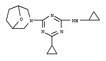N,4-dicyclopropyl-6-(8-oxa-3-azabicyclo[3.2.1]oct-3-yl)-1,3,5-triazin-2-amine