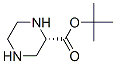 TERT-BUTYL (2S)-PIPERAZINE-2-CARBOXYLATE